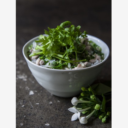 （有）プロヴィデンスが撮影した「:albumName」の写真