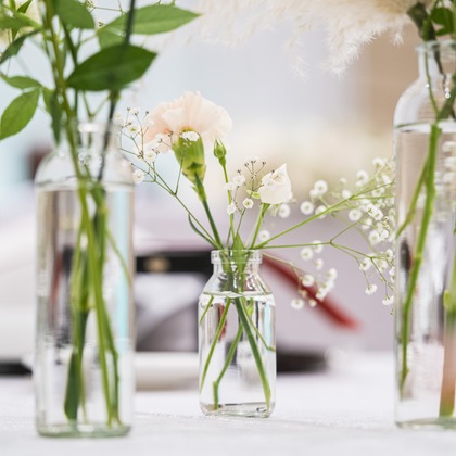 スタジオ11が撮影した「その他」のウェディングフォト - :albumName