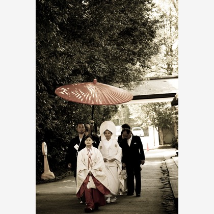 photo office zk (善家 完)が撮影した「:albumName」の写真