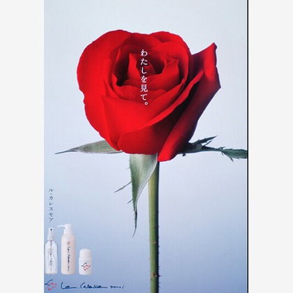 有限会社　澤田スタジオが撮影した「:albumName」の写真