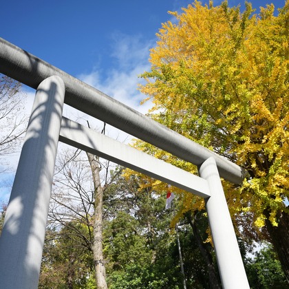 せおまさよが出張撮影したストリートファッション, ジェスチャー, 作りますなどが写った「出張撮影　七五三」の家族写真