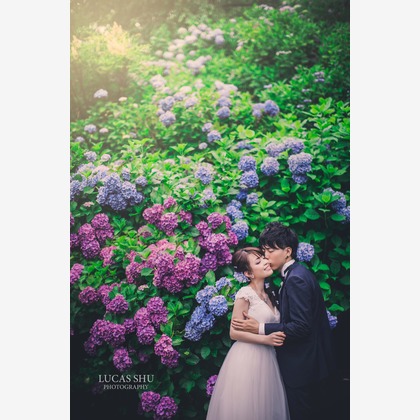 Lucas Shu Photographyが撮影したウェディングや家族、ビジネスの写真