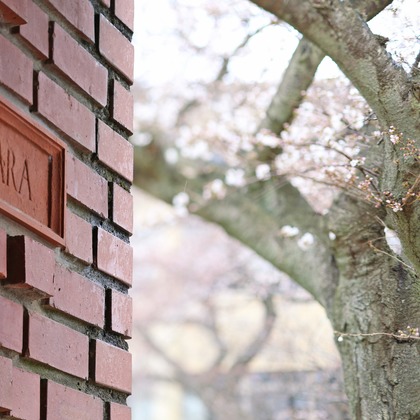 村田わかな広告写真が撮影したその他/人物撮影の写真