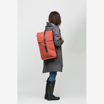 尾田信介が撮影した「:albumName」の写真