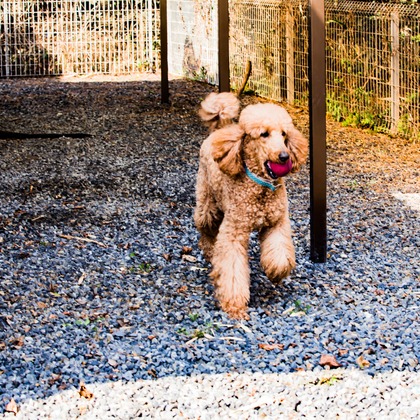 MTワークスが撮影した店舗/オフィス/サロン撮影の写真