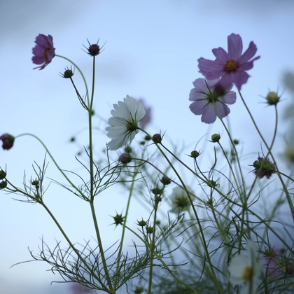 写真屋gonree　阿波根里恵が撮影した旅行先の記念撮影の写真