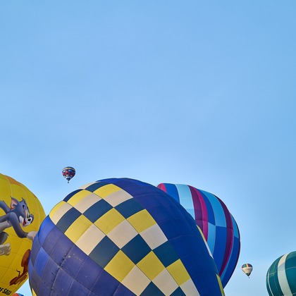 津田野 瑞希が撮影した「:albumName」の写真