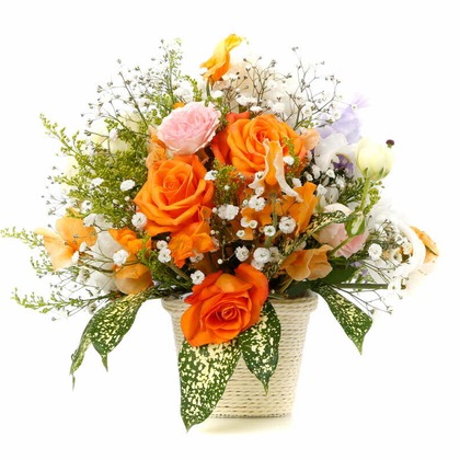 赤木写真事務所（代表　赤木武博）が撮影した商品/物撮り/不動産/竣工の写真