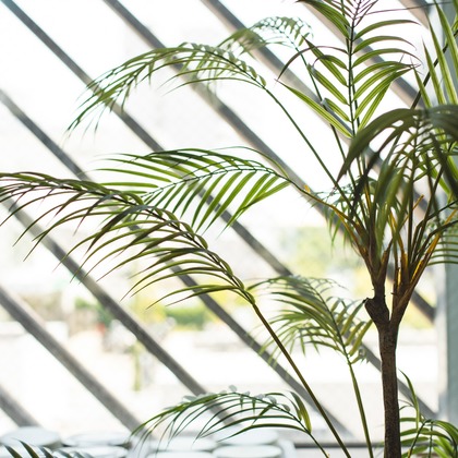 uno e creative act.が撮影した「結婚式撮影/結婚式二次会撮影」のウェディングフォト - :albumName