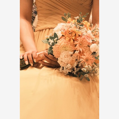 橋本　直樹が撮影した「:albumName」の写真