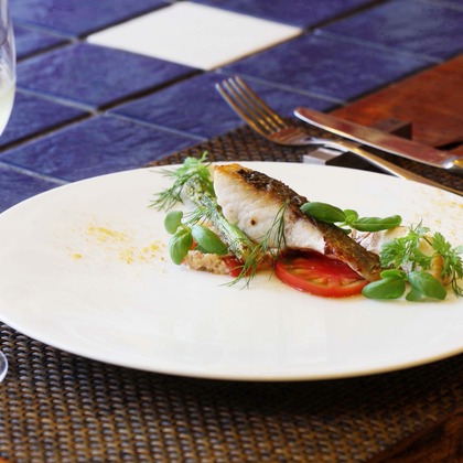 森安　照が撮影した「:albumName」の写真