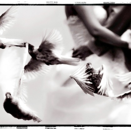 éclat photographyが撮影したウェディングや家族、ビジネスの写真