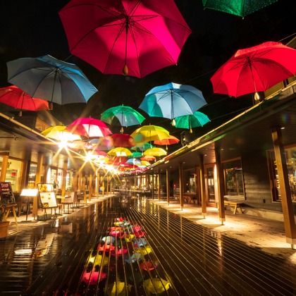 光画堂スタジオが撮影したウェディングや家族、ビジネスの写真