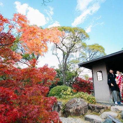 Tomi Photo Studioが撮影したウェディングや家族、ビジネスの写真