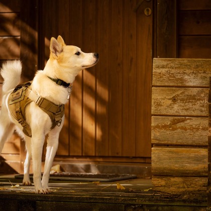 梅田　紫邑が撮影したその他の写真