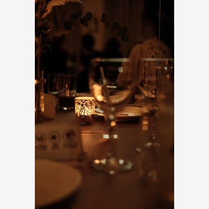 橋本　直樹が撮影した「:albumName」の写真