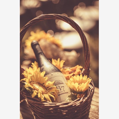  グラフィーズが撮影したウェディングや家族、ビジネスの写真