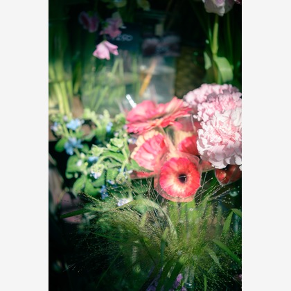 戸澤麻衣が撮影した「:albumName」の写真
