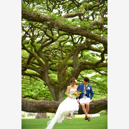 Photo of :albumName taken by TOMOPHOTOHawaii