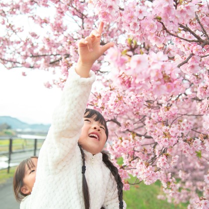 ゆのみふぉとが出張撮影した自然の中の人々, 手をつないで, 友情などが写った「桜とお写真」の家族写真