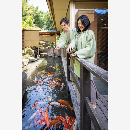 吉田佳央が撮影した「:albumName」の写真