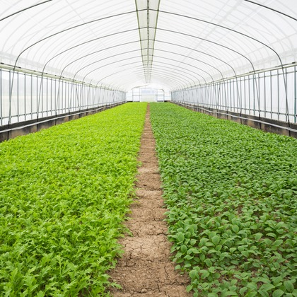 出張撮影TLaboが撮影した店舗/オフィス/サロン撮影/商品/物撮りの写真