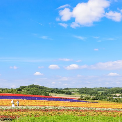 Location Photo Shoot Photos taken by APK