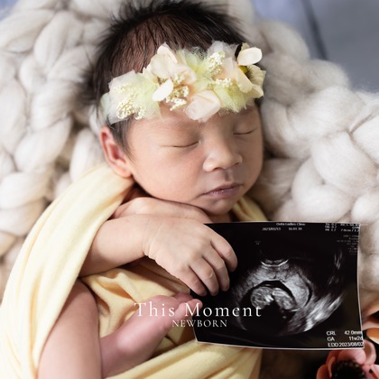 This Momentが撮影した「:albumName」の写真