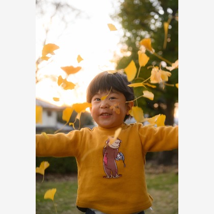 和Photographが撮影した「:albumName」の写真