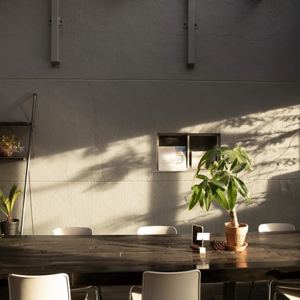 MONKEY PHOTOが撮影した「:albumName」の写真