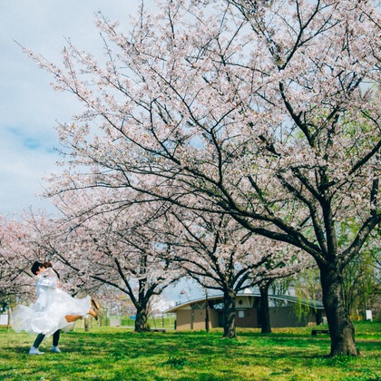 Photo of :albumName taken by t_pictures