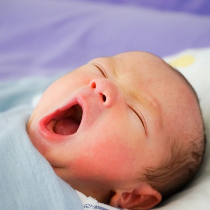 Aya Petite Photographyが出張撮影した赤ちゃんの入浴, 入浴, むき出しのなどが写った「ニューボーンフォト」の家族写真