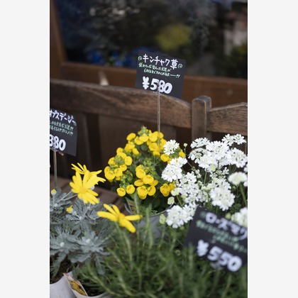 三浦希衣子が撮影した店舗/オフィス/サロン撮影/商品/物撮りの写真