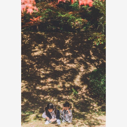 多田正子が撮影した「:albumName」の写真