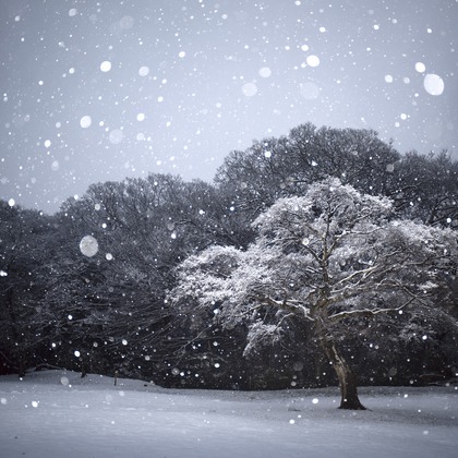 Studio Serowが撮影した「:albumName」の写真