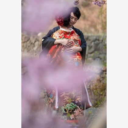 Photo of Kyoto　Prewedding photo with cherryblossom taken by saruco(Hisashi Iwasaki)