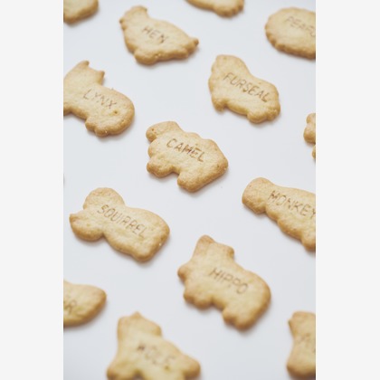 内野拓望が撮影した料理撮影/商品/物撮りの写真