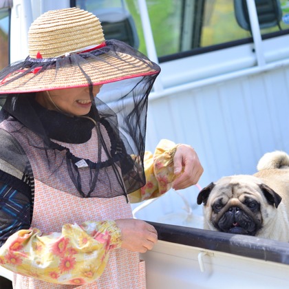 Peace-full photoが撮影した「:albumName」の写真