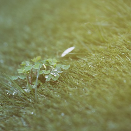 高野和希が撮影した「:albumName」の写真