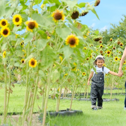 tomizoが撮影した「:albumName」の写真