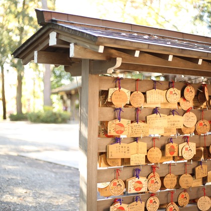 出張撮影HUG TIMEが撮影した「:albumName」の写真