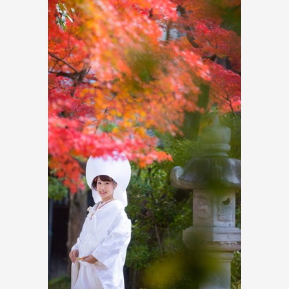 ピュアアーティス(小島 靖雄)が撮影した「:albumName」の写真