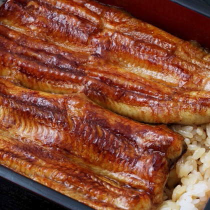 森安　照が撮影した「:albumName」の写真