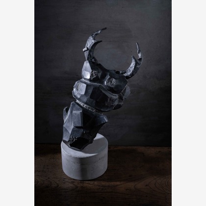 山畑俊樹が撮影した「:albumName」の写真