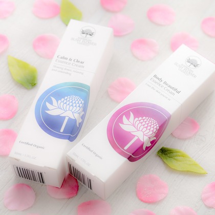 なかがわさとみが撮影した「:albumName」の写真