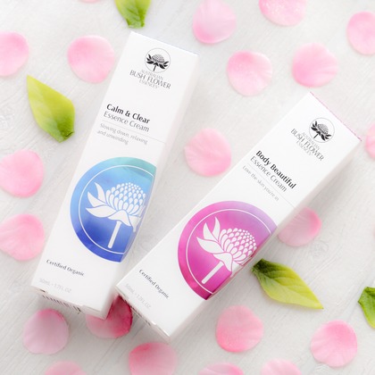 なかがわさとみが撮影した「:albumName」の写真