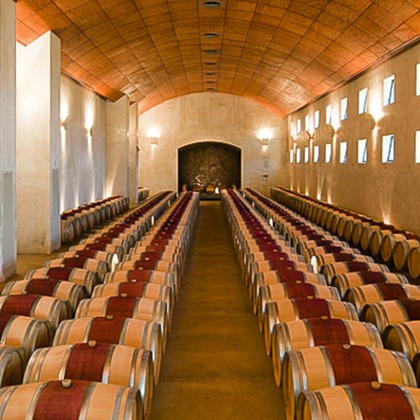 有光こうじ写真事務所が撮影した「:albumName」の写真