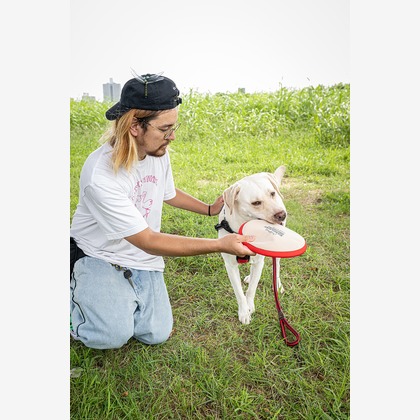 吉田佳央が撮影した「:albumName」の写真