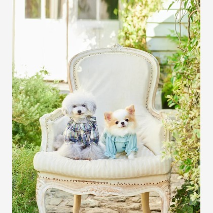 白井由香里写真事務所が撮影した「:albumName」の写真