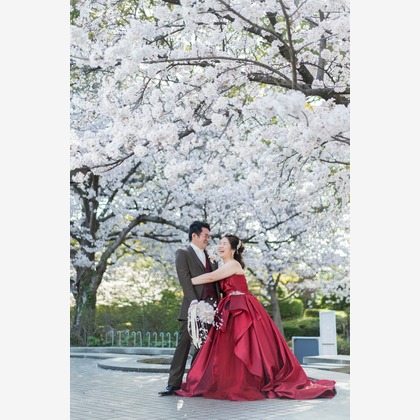 山口　竜が撮影した前撮り/後撮り出張撮影の写真